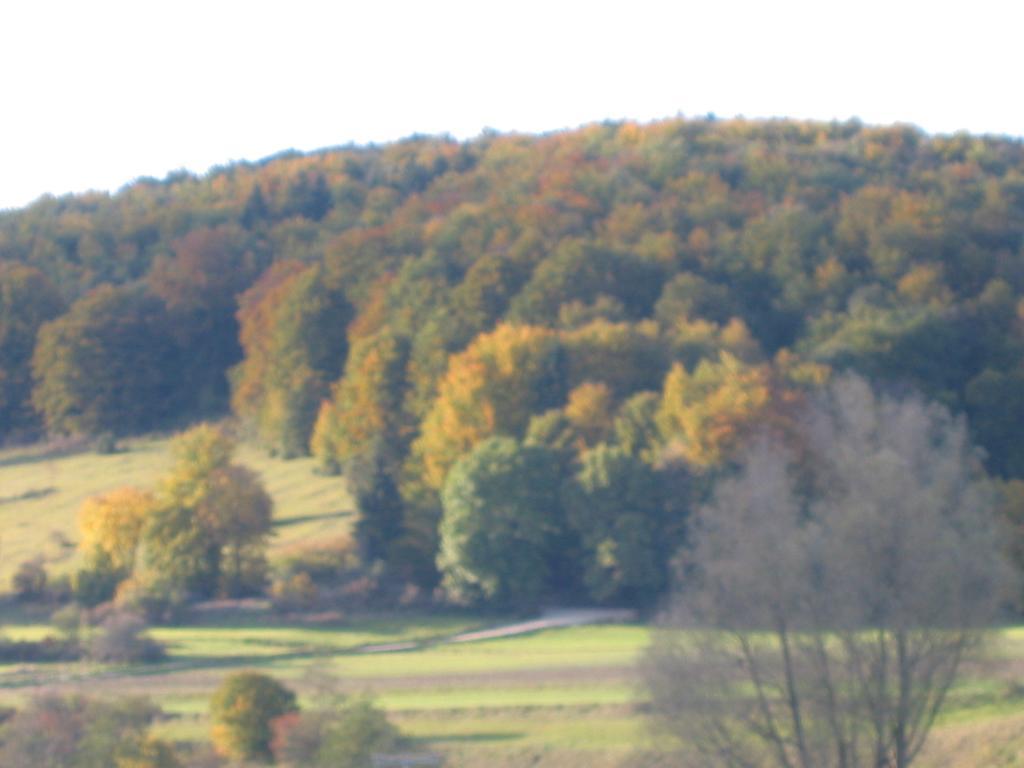 Gasthof Zum Lamm Gomadingen Exteriör bild
